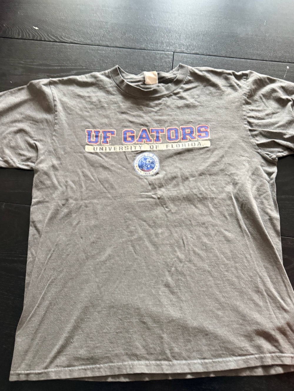 Vintage Champion Florida Gators NCAA University of Florida Gray T-Shirt Men's L